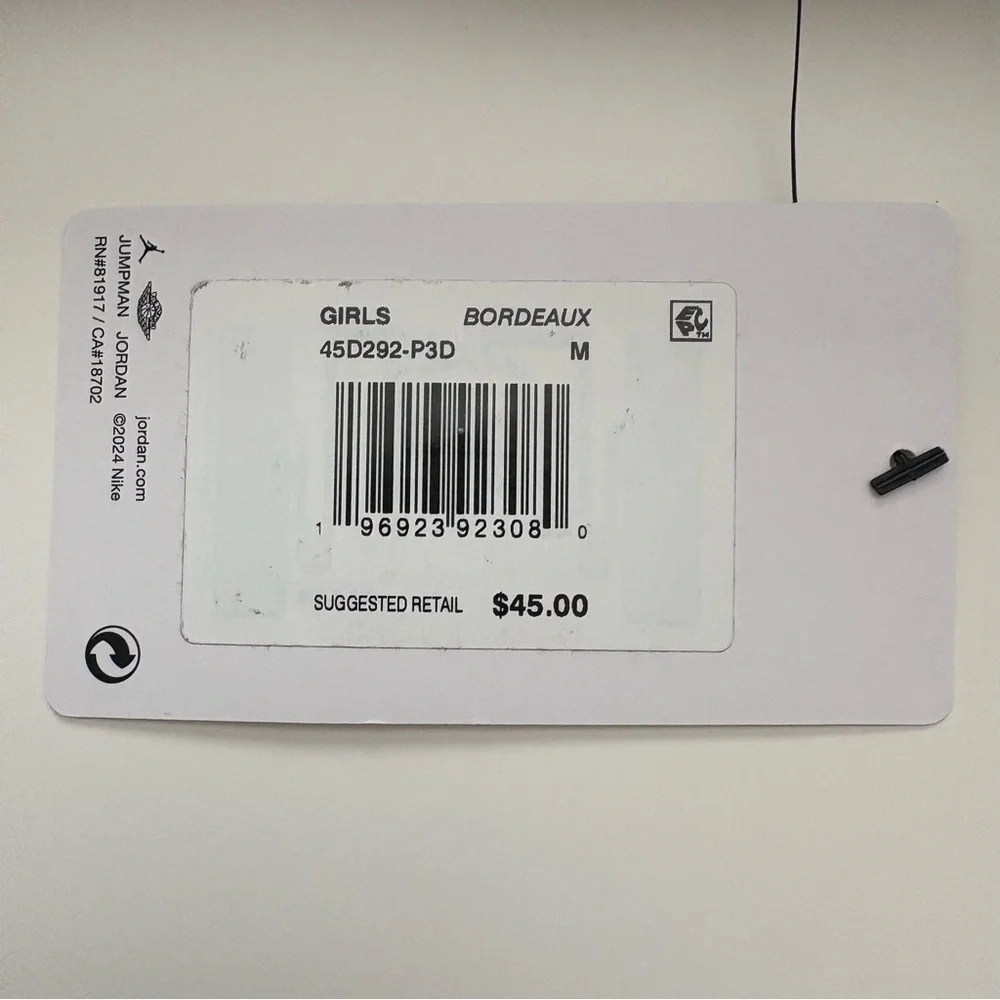 Girls Big Kids Jordan Brooklyn Essentials Pullover Hoodie Medium NWT - Picture 5 of 5